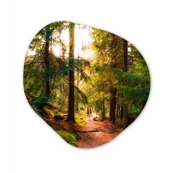 Bos - Pad - Bomen - Groen - Zon - Natuur Wandcirkel Organisch Forex 3mm klein -3d