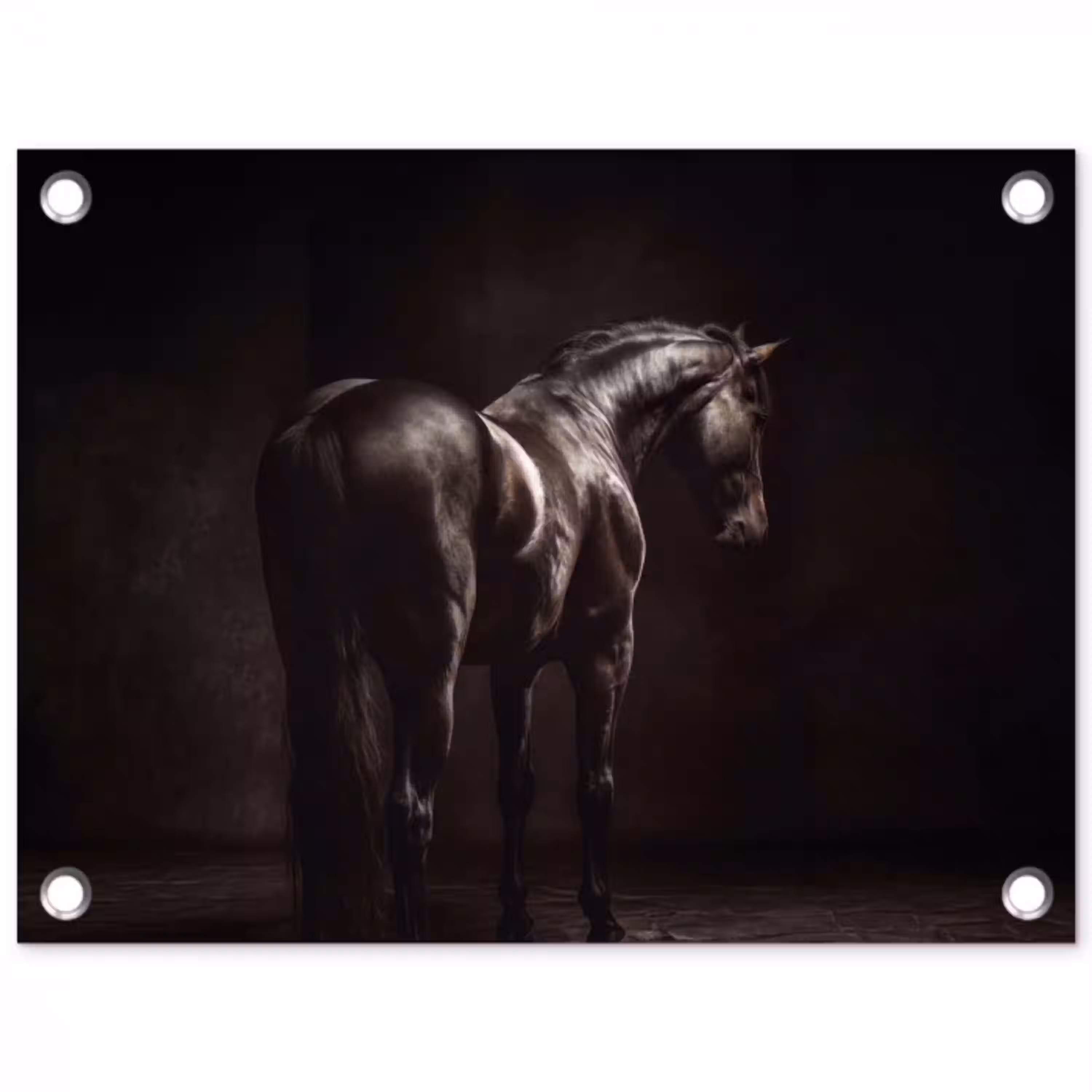 Krachtig - Paard - Donker tuinposter los doek klein -3d
