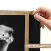 Struisvogels - Halzen - Zwart - Minimalistisch Light Box met batterij (Wandlamp) middel -USP_websiteprintNL