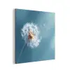 Paardenbloem - Wind - Blauw aluminium wit klein -3d