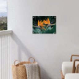 Paradijsvogel - Bloem - Exotisch tuinposter los doek klein -sfeer8