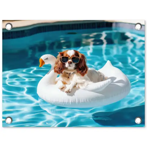 Spaniel - Zonnebril - Zwemband - Zwemband tuinposter los doek klein -3d