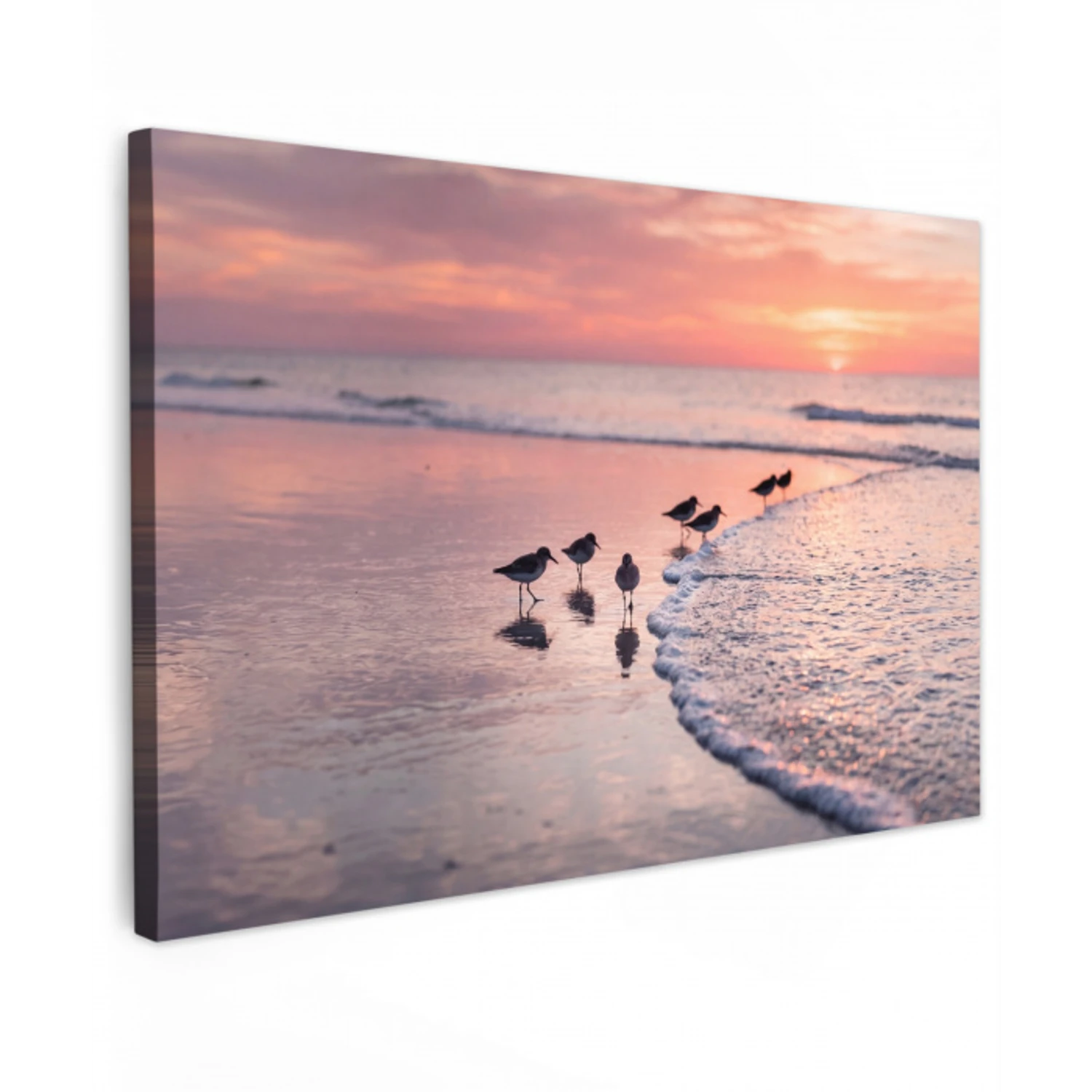 Meeuwen - Strand - Zee - Roze canvas 2cm klein -z3d