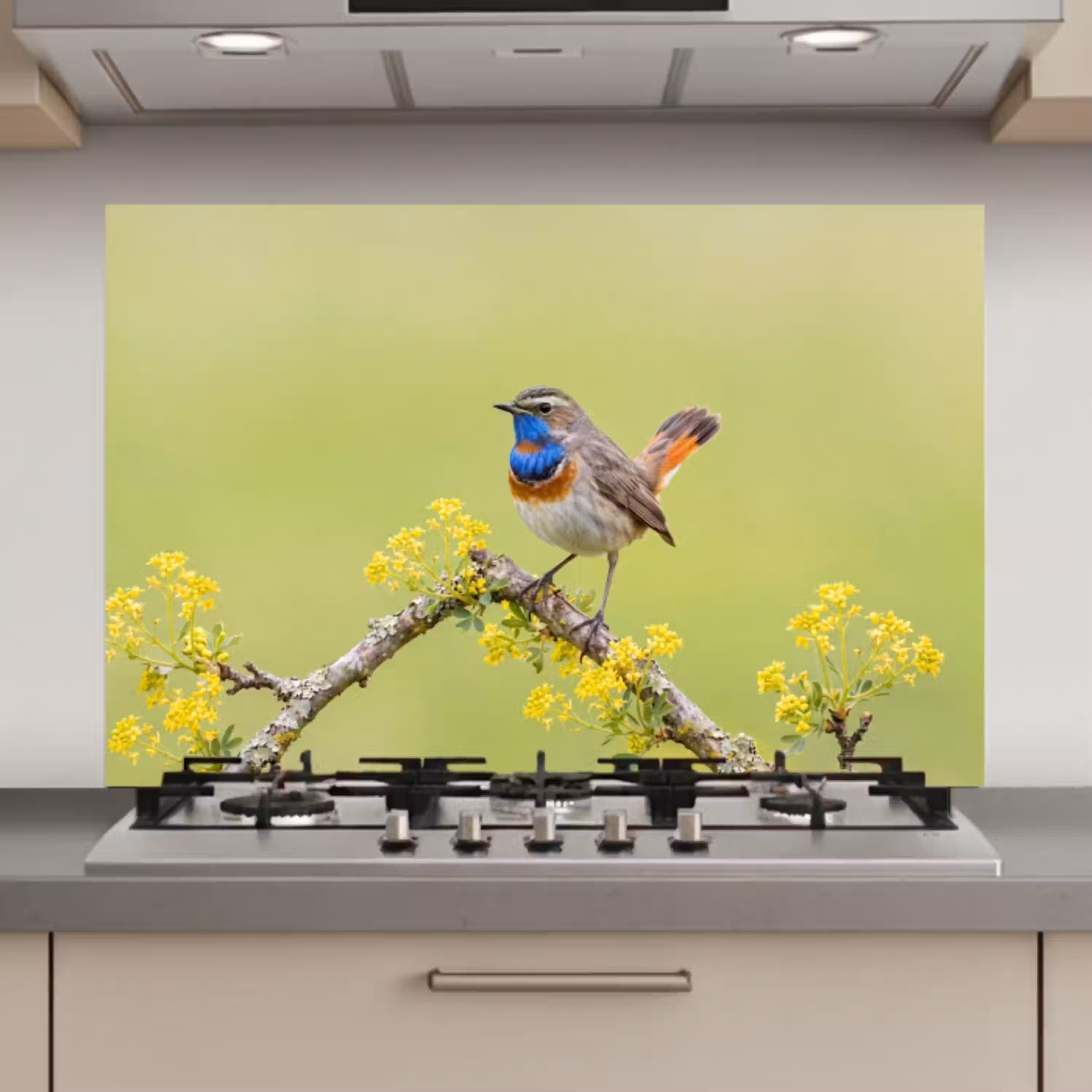 Vogel - Tak - Natuur - Kleurrijk keuken achterwand spatscherm klein -3d_website