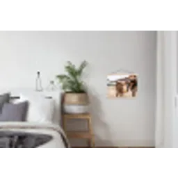 Texas Longhorn - Kalf - Weide - Dieren textielposter latten blank klein -woonkamer