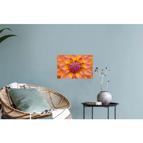 Dahlia - Bloem - Oranje Muursticker klein -plant
