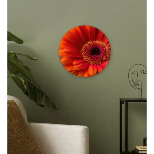 Oranje - Gerbera - Intens Wandcirkel kunststof plaat 5mm dik klein -sfeer3