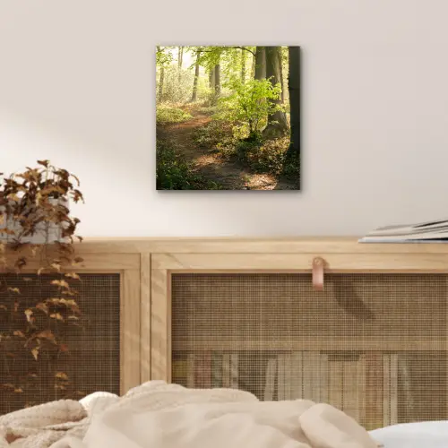 Bos - Bomen - Pad - Zon - Planten - Bladeren - Natuur aluminium wit klein -sfeer3