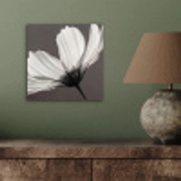 Bloem - Minimalistisch - Zwart - Wit aluminium wit klein -sfeer2