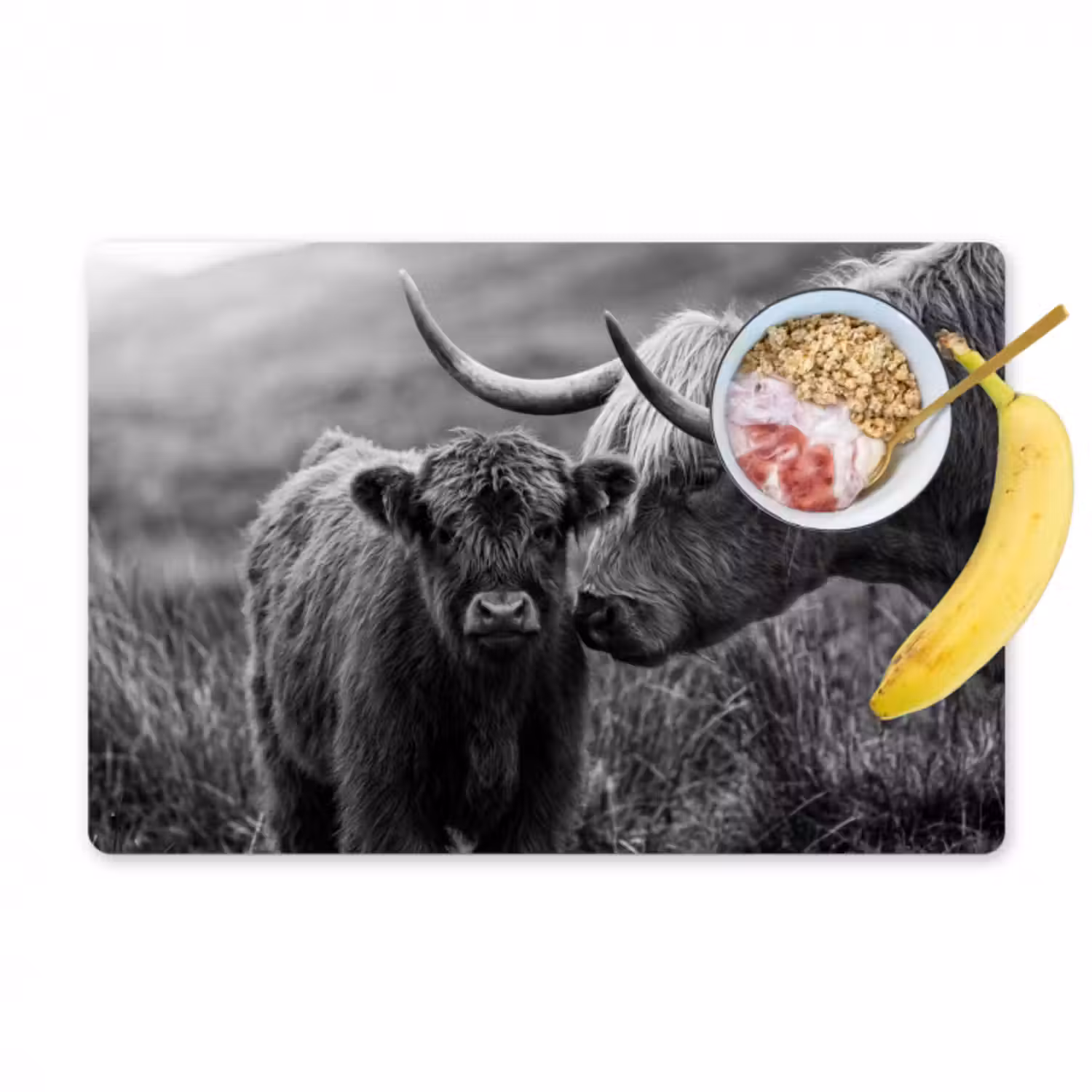 Tischset - 6 Stück - Schottischer Highlander - Kalb - Schwarz - Weiß