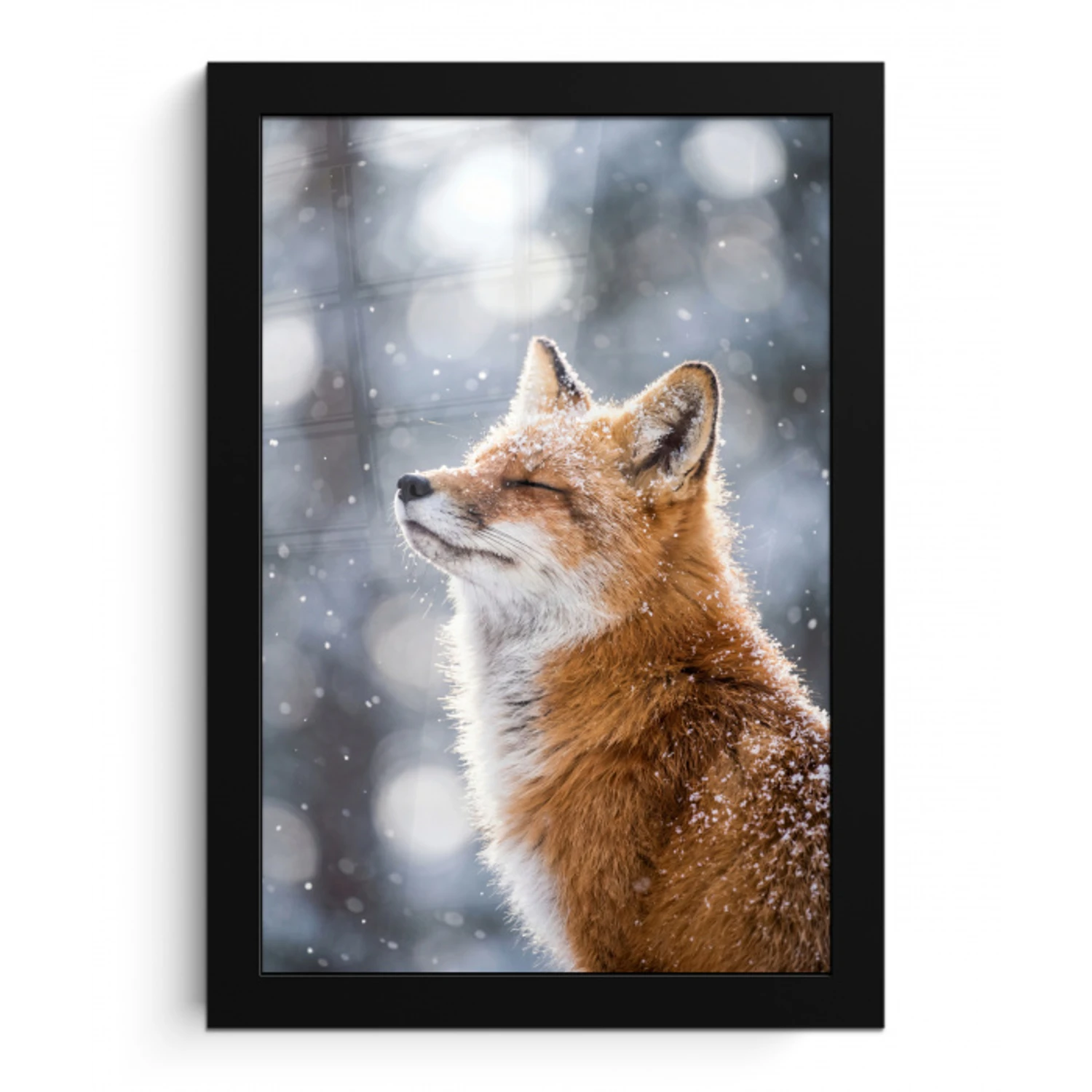 Vos - Sneeuwval - Portret - Winter - Sfeervol fotolijst zwart zonder passe partout klein -3d