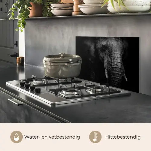 Olifant - Dier - Portret keuken achterwand spatscherm klein -usp_NL