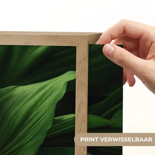 Bladeren - Schaduw - Groen - Textuur Light Box met batterij (Wandlamp) middel -USP_websiteprintNL
