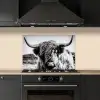 Koe - Schotse hooglander - Zwart - Wit - Dier - Natuur - Wild keuken achterwand spatscherm klein -sfeer1