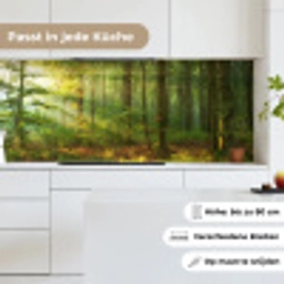 Zon - Bos - Bomen - Natuur - Herfst keuken achterwand 2 middel -sfeer4_DE