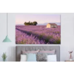 Lavendel - Landschap - Sereen - Paars forex 5mm xxl -slaapkamer