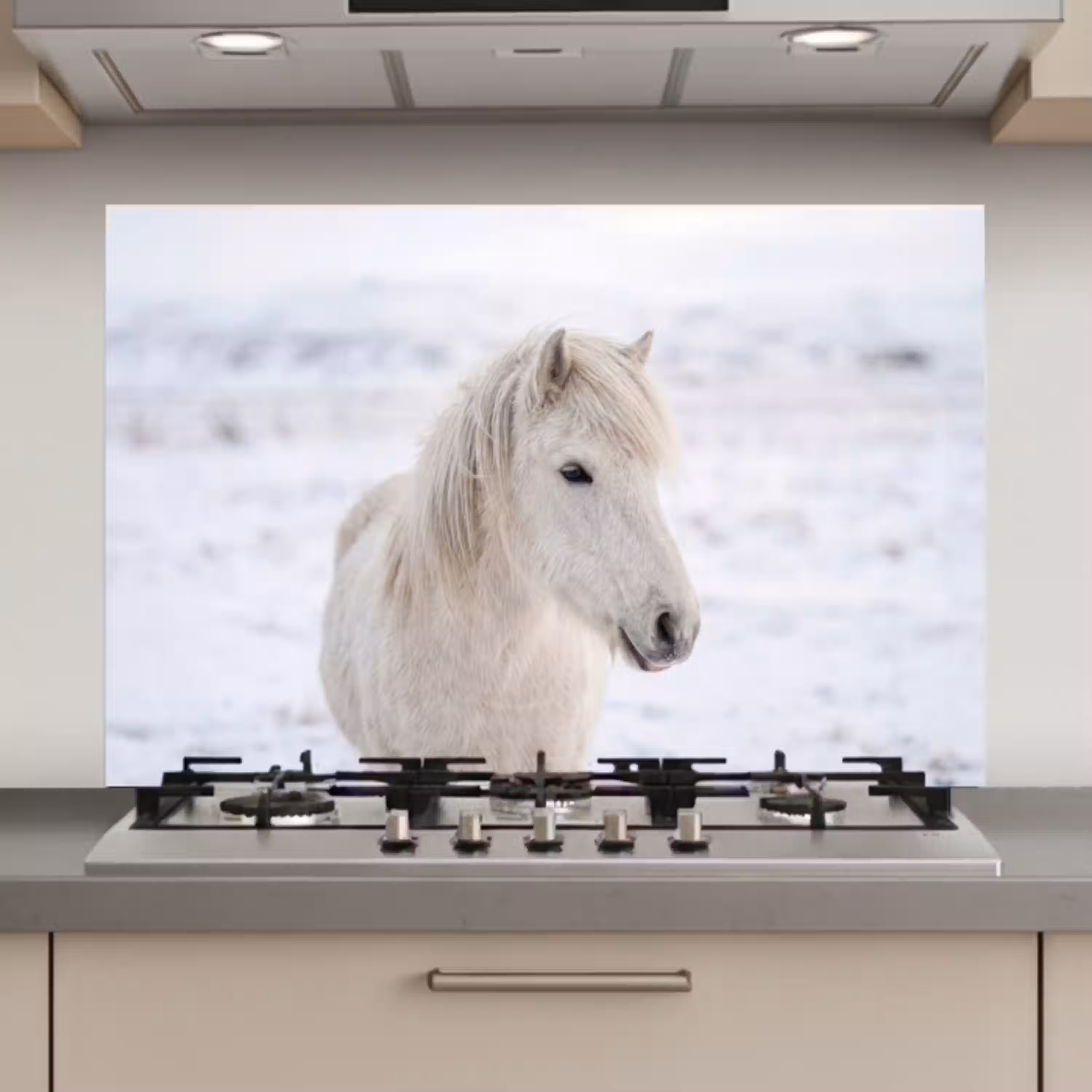 Paard - Kop - Winter - Dieren - Wit keuken achterwand spatscherm klein -3d_website