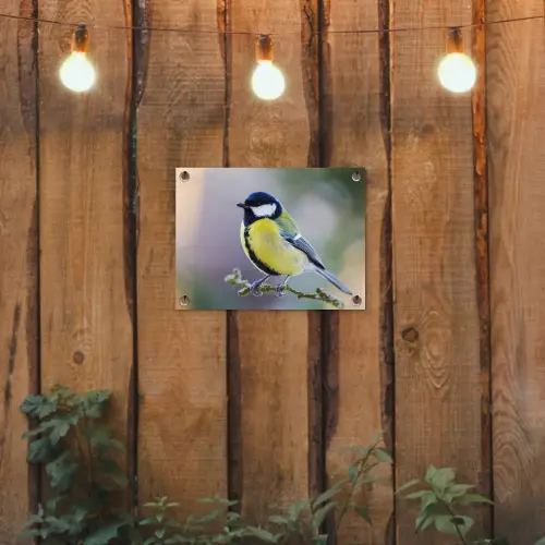 Koolmees op een Tak tuinposter los doek klein -sfeer1