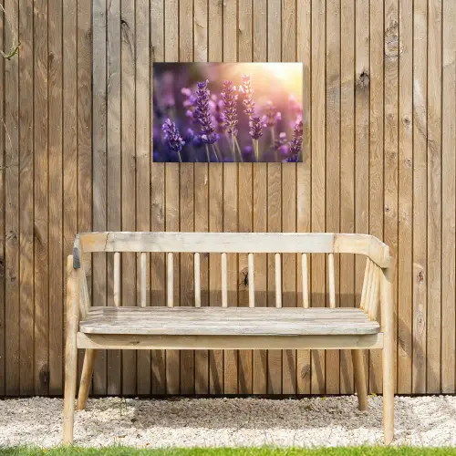 Lavendelbloemen - Paars - Zonlicht Tuinposter op houten frame 2 cm dik klein -sfeer4