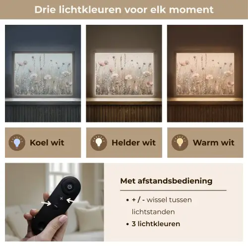 Bloemen - Roze - Modern - Beige Light Box met batterij (Wandlamp) middel -USP_lichtkleurNL