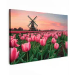 Tulpen - Molen - Nederland Tuinposter op houten frame 2 cm dik klein -3d