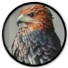 Vogel - Realistisch - Veren - Bruin Fotolijst rond zonder passe partout klein -3d