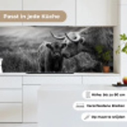 Schotse hooglander - Kalf - Zwart - Wit keuken achterwand 2 middel -sfeer4_DE