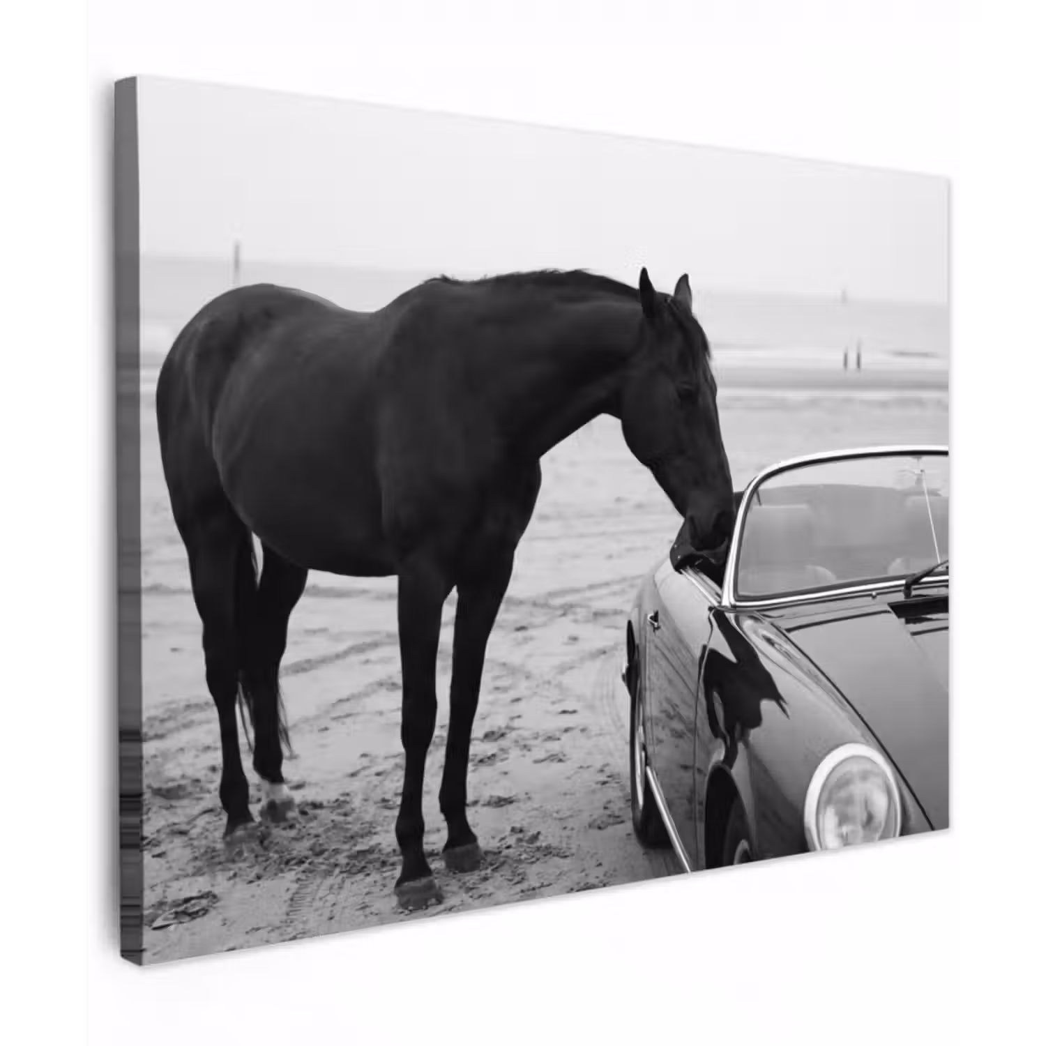 Leinwandbild - Pferd - Auto - Schwarz - Weiß