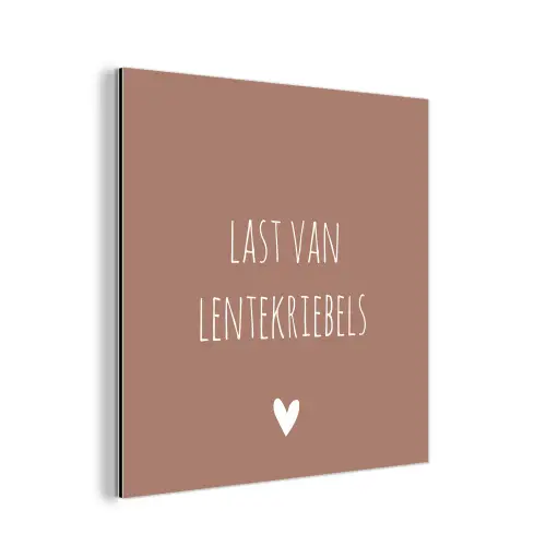 Spreuken - Last van lentekriebels - Quotes aluminium wit klein -3d