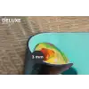 Avocado - Groen - Pit - Schaduw Placemat vinyl groot -closeup