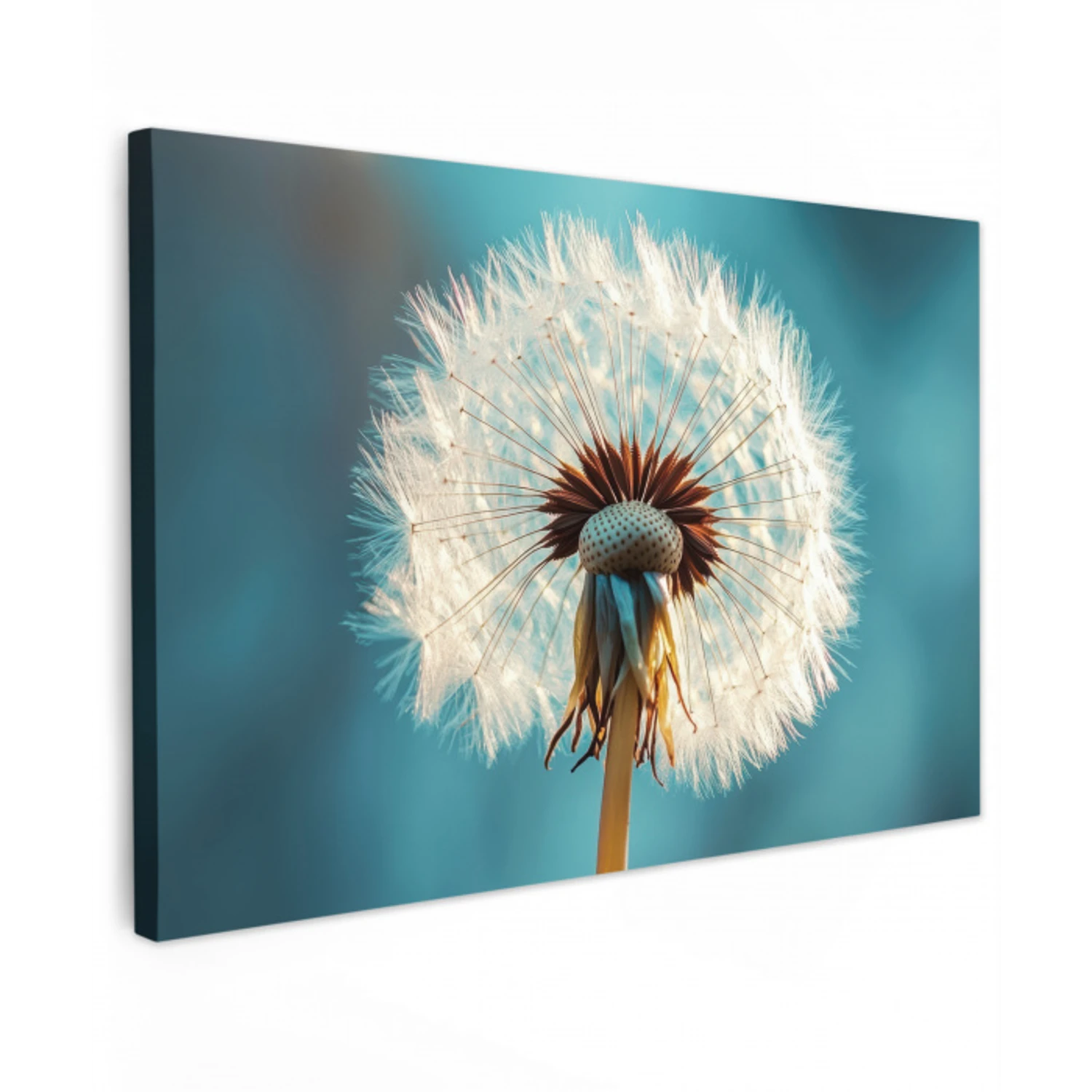 Paardenbloem - Natuur - Bloemen - Blauw canvas 2cm klein -z3d