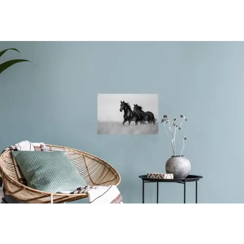 Paarden - Gras - Zwart - Wit Muursticker klein -plant