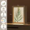Dennentak - Naaldvormige bladeren - Lichtgroen Light Box met kabel (Tafellamp) klein -USP_NL