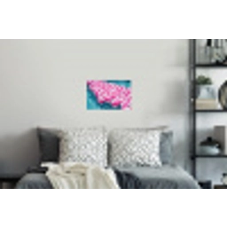 Strandballen - Roze - Water Muursticker klein -slaapkamer