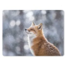 Vos - Sneeuwval - Portret - Winter - Sfeervol muismat rubber klein -3d