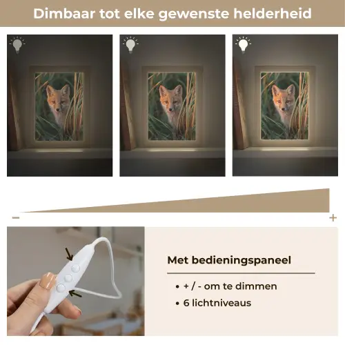 Vos - Oranje - Gras Light Box met kabel klein -USP_dimbaarNL