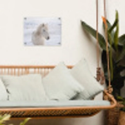 Paard - Kop - Winter - Dieren - Wit tuinposter los doek klein -sfeer7
