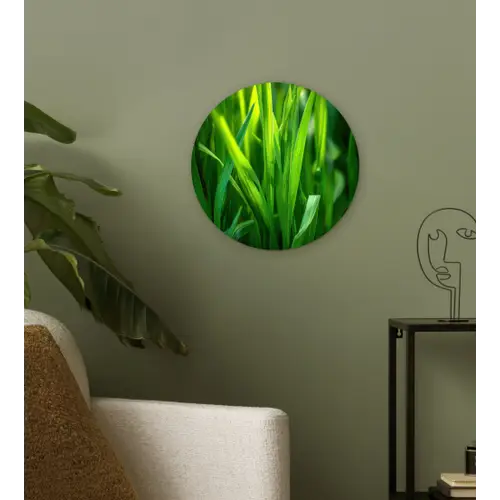 Grassprieten - Lichtinval - Groen Wandcirkel plexiglas klein -sfeer3