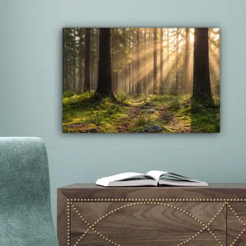 Bos - Zonlicht - Gras canvas 2cm klein -sfeer4