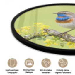Vogel - Tak - Natuur - Kleurrijk Fotolijst rond zonder passe partout klein -closeup_DE