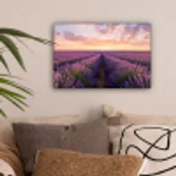 Landschap - Lavendelveld - Paars canvas 2cm klein -sfeer1