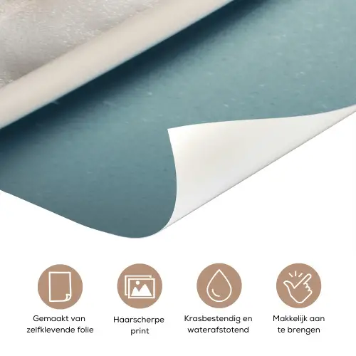 Teckel - Bad - Schuim - Waterdruppels deurposter klein -closeup_NL