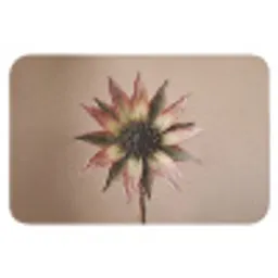 Droogbloem - Protea - Vintage - Beige - Rustiek Badmat klein -3d