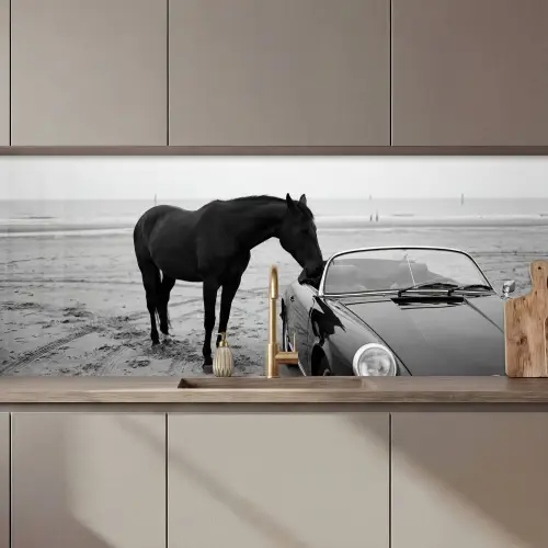 Paard - Auto - Zwart - Wit keuken achterwand 2 middel zz_3dshopping