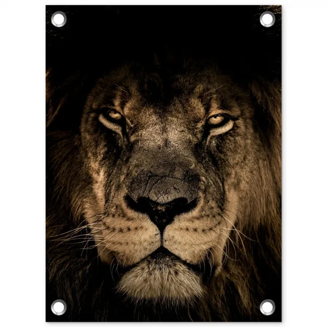 Leeuw in het schaduwlicht tuinposter los doek klein -3d