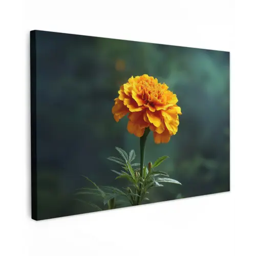 Bloemblaadjes - Afrikaan - Oranje - Wazig canvas 2cm klein -z3d