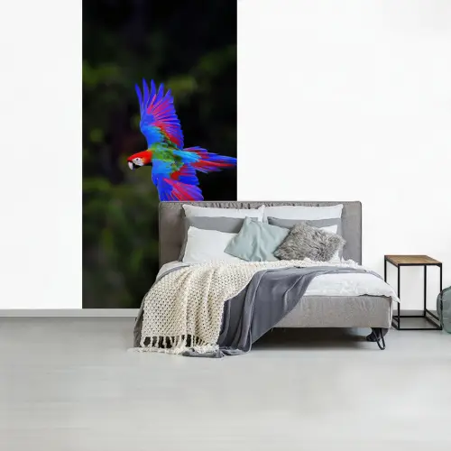 Felgekleurd - Papegaai - Bos - Vleugels fotobehang vinyl groot -slaapkamer