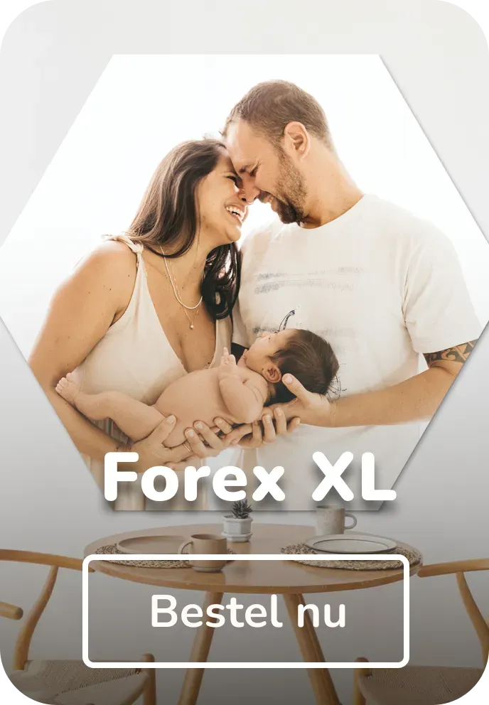 foto op hexagon forex XL
