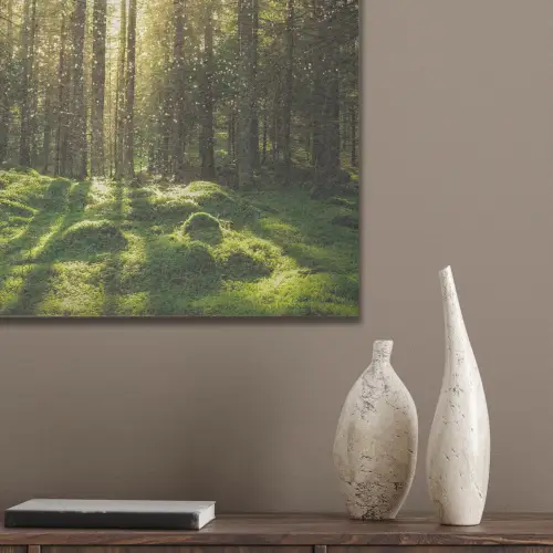 Bomen - Bos - Mos - Planten - Zon - Natuur PET vilt klein -sfeer6_closeup