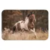 Paard - Bruin - Gras WCmat klein -3d